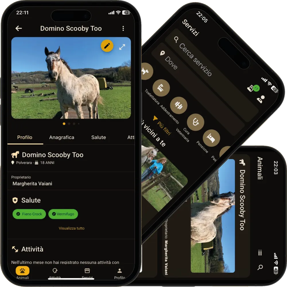 Your pets’ profiles — PawsPet